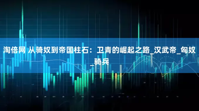 淘倍网 从骑奴到帝国柱石：卫青的崛起之路_汉武帝_匈奴_骑兵