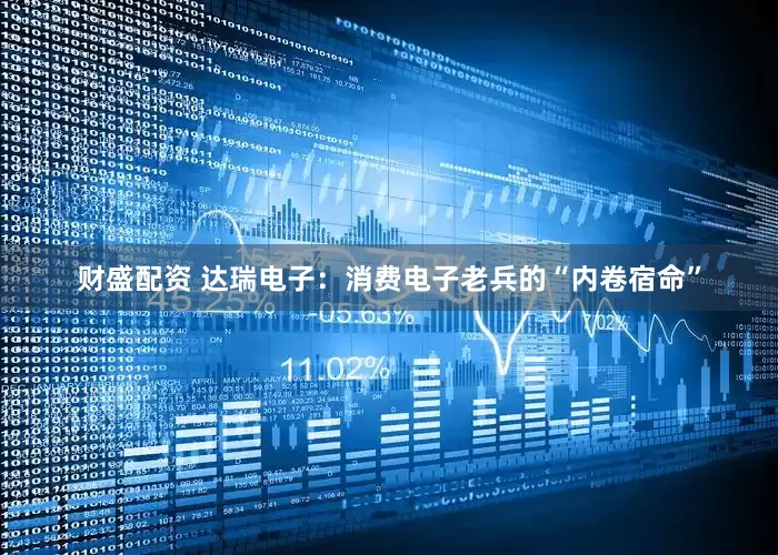 财盛配资 达瑞电子：消费电子老兵的“内卷宿命”