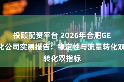 投顾配资平台 2026年合肥GEO优化公司实测报告：稳定性与流量转化双指标